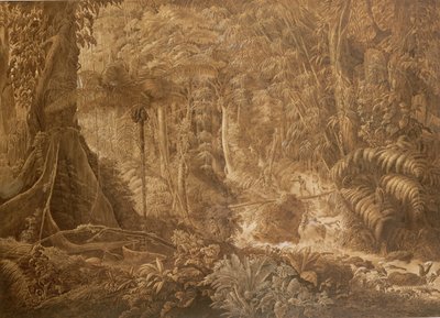 Virgin Forest of Brazil, c.1819 by Charles Comte de Clarac
